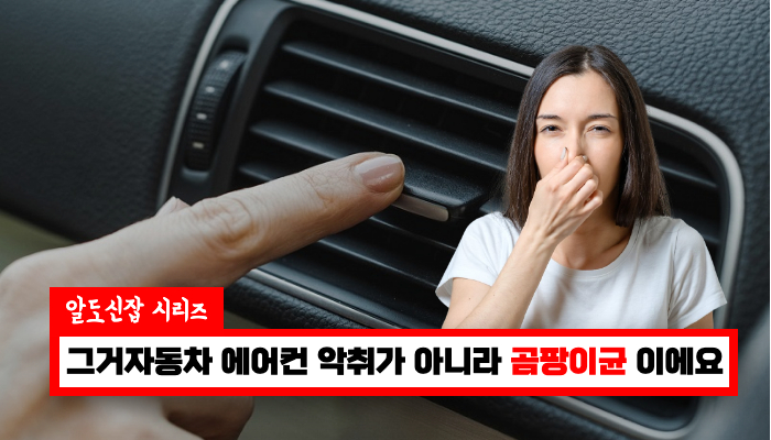 3초안에 자동차 에어컨 곰팡이균 제거해 버리기