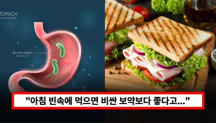 “아침식사를 거를때 딱입니다” 아침식사 대신 먹으면 말도 안되게 좋은 음식10가지들