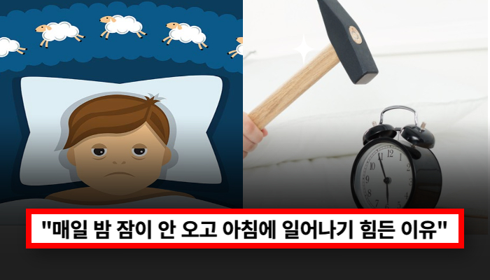 “불면증?”아닙니다 사실 90%에 사람들이 이런 이유로…